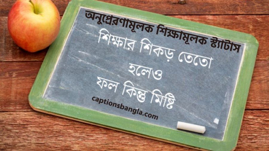 অনুপ্রেরণামূলক শিক্ষামূলক স্ট্যাটাস
