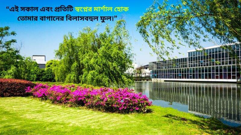 বাগান বিলাস ফুল নিয়ে ফেসবুক স্ট্যাটাস