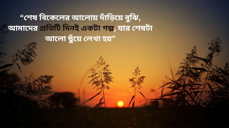 শেষ বিকেলের সূর্য নিয়ে স্ট্যাটাস