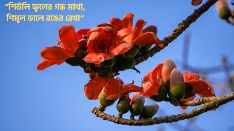শিমুল ফুল নিয়ে ছন্দ 
