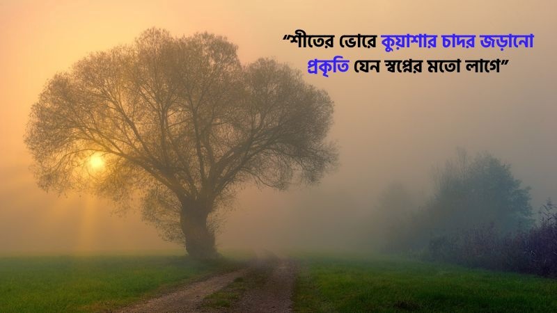 শীত নিয়ে ক্যাপশন