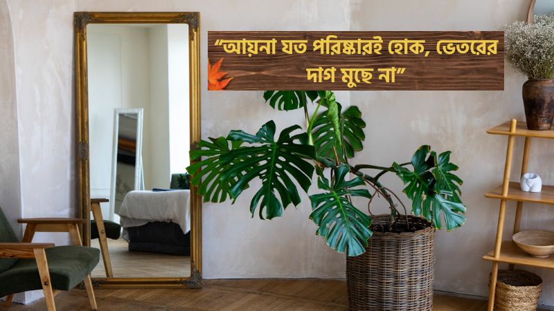 আয়না নিয়ে ক্যাপশন