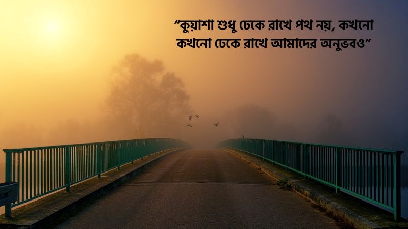 কুয়াশা নিয়ে উক্তি