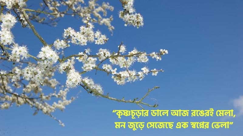 কৃষ্ণচূড়া নিয়ে ছন্দ