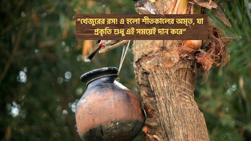 খেজুরের রস নিয়ে উক্তি