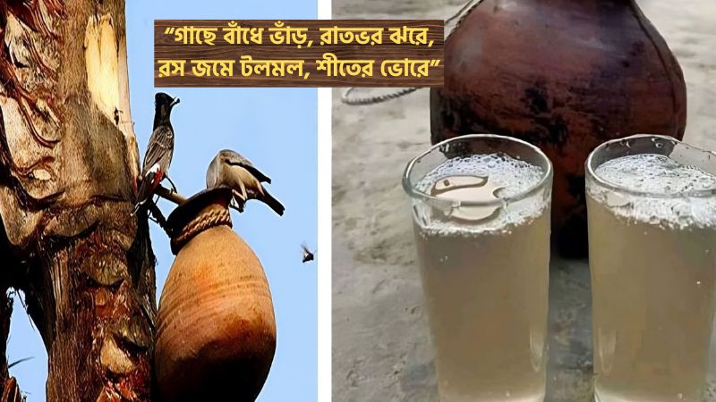 খেজুরের রস নিয়ে ছন্দ