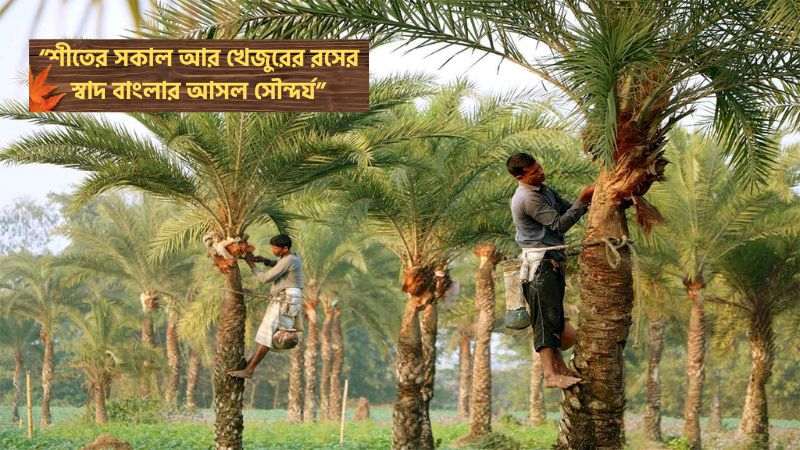 খেজুরের রস নিয়ে ফেসবুক ক্যাপশন