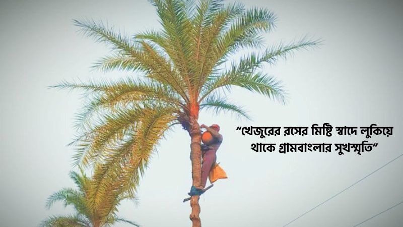 খেজুরের রস নিয়ে স্ট্যাটাস
