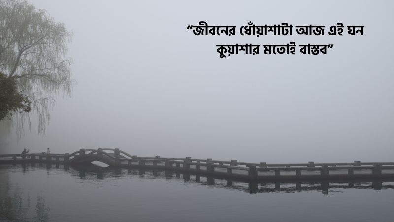 ঘন কুয়াশা নিয়ে ক্যাপশন