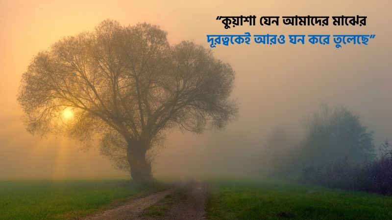 শীতের কুয়াশা নিয়ে ভালোবাসার ক্যাপশন