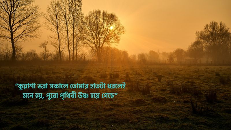 শীতের কুয়াশা নিয়ে রোমান্টিক স্ট্যাটাস