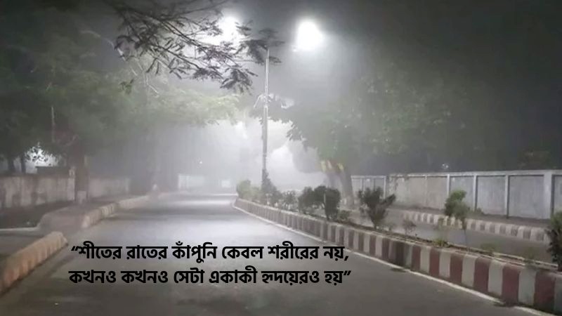 শীতের রাত নিয়ে উক্তি