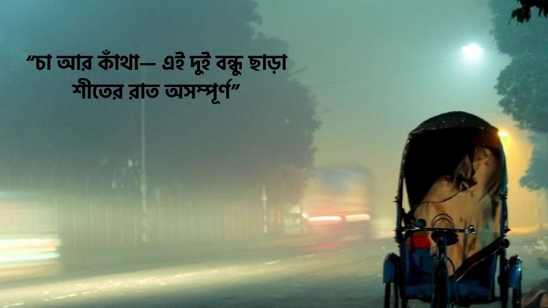 শীতের রাত নিয়ে ক্যাপশন