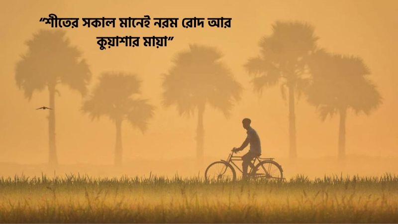 শীতের সকাল নিয়ে স্ট্যাটাস