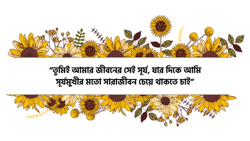 সূর্যমুখী ফুল নিয়ে রোমান্টিক স্ট্যাটাস