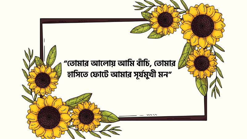 সূর্যমুখী ফুল নিয়ে স্ট্যাটাস