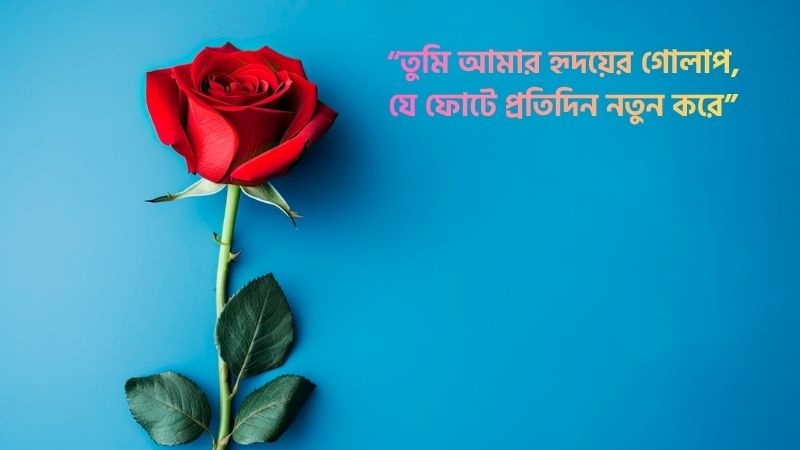 গোলাপ ফুল নিয়ে রোমান্টিক ক্যাপশন