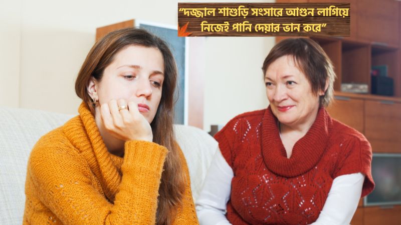 দজ্জাল শাশুড়ি নিয়ে স্ট্যাটাস