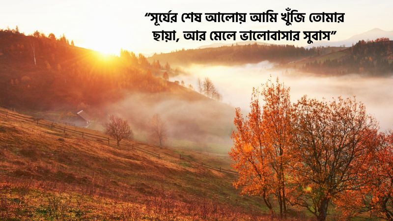 পড়ন্ত বিকেল নিয়ে রোমান্টিক ক্যাপশন