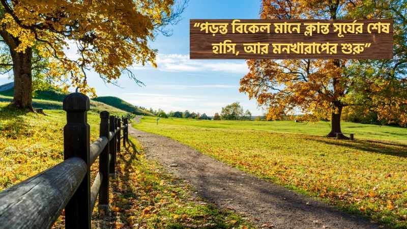 পরন্ত বিকেল নিয়ে উক্তি