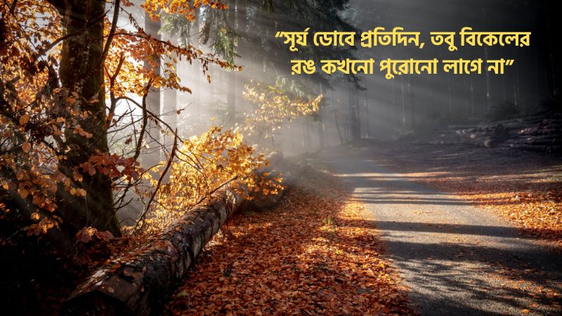 পরন্ত বিকেল নিয়ে স্ট্যাটাস