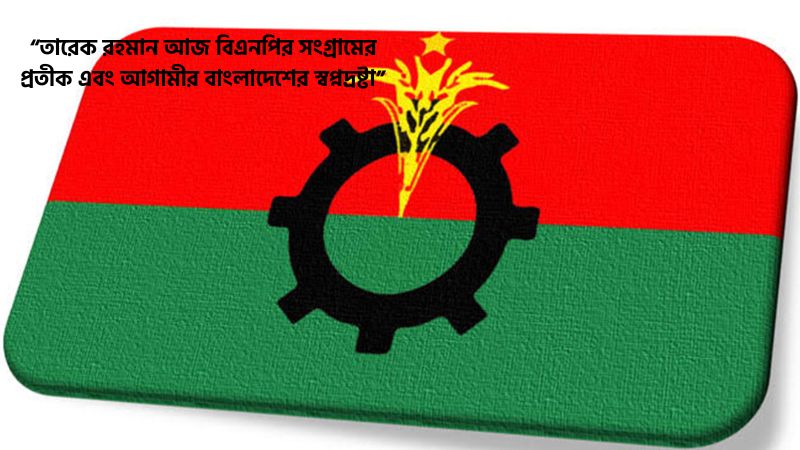 বিএনপির ইতিহাস স্ট্যাটাস