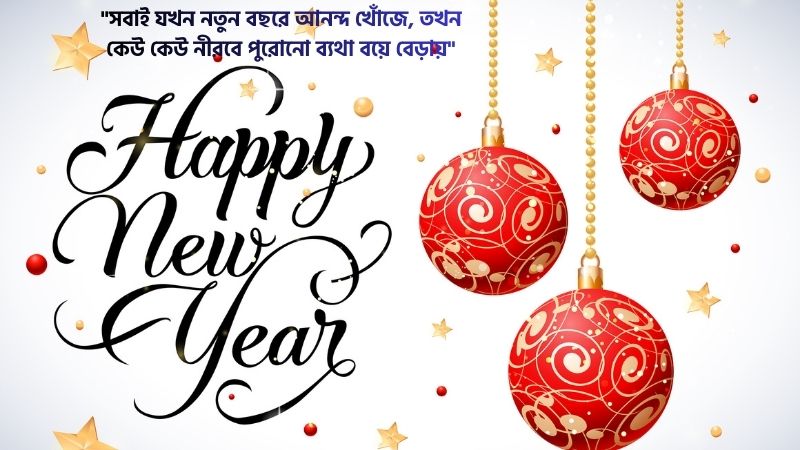 নতুন বছর নিয়ে কষ্টের উক্তি