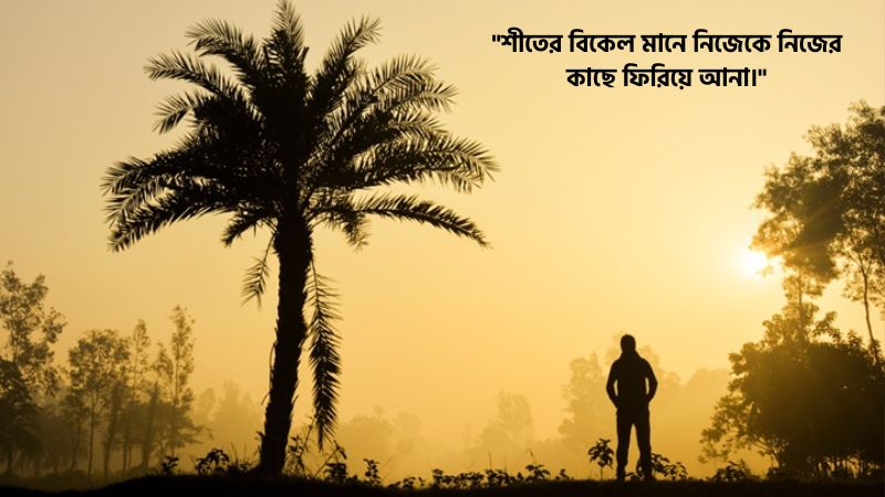 শীতের বিকেল নিয়ে উক্তি