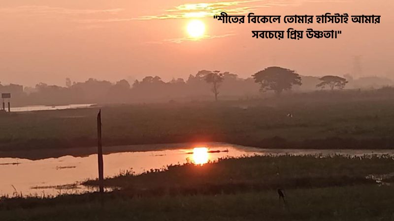 শীতের বিকেল নিয়ে রোমান্টিক ক্যাপশন