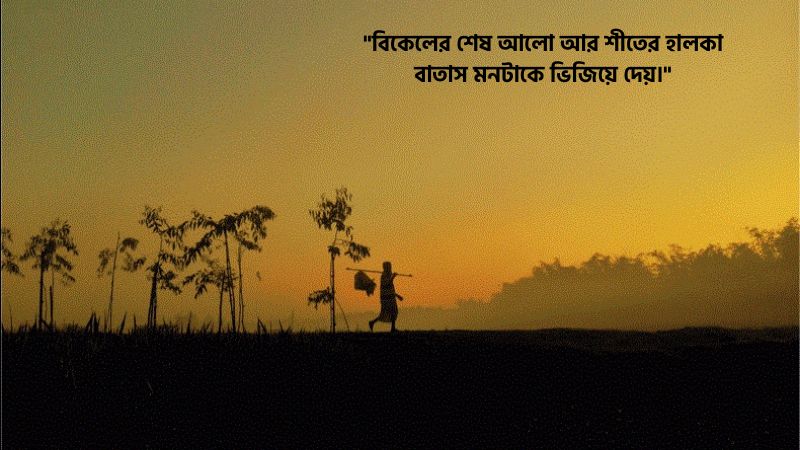 শীতের বিকেল নিয়ে স্ট্যাটাস