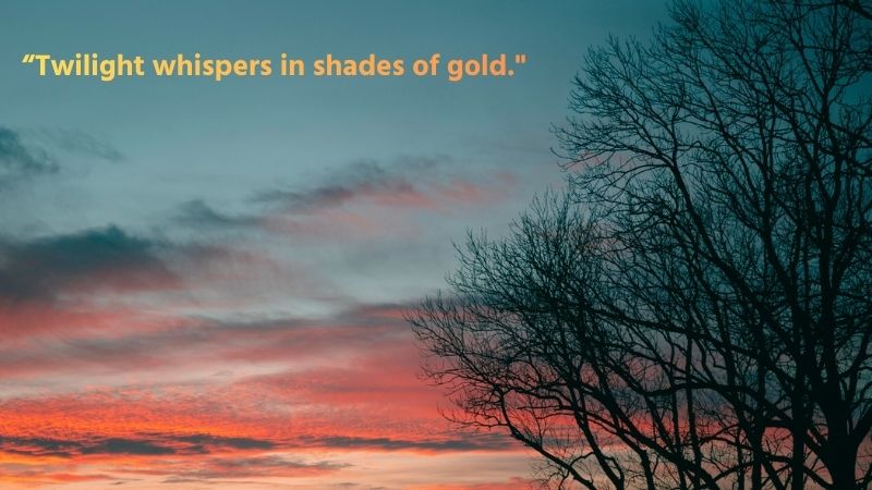 গোধূলি বিকেল নিয়ে ক্যাপশন english