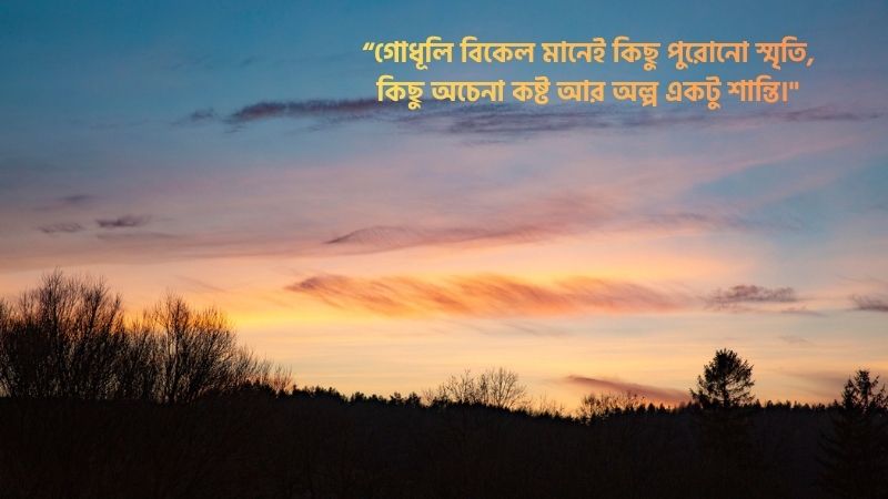 গোধূলি বিকেল নিয়ে ক্যাপশন