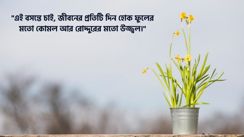 বসন্ত নিয়ে ক্যাপশন