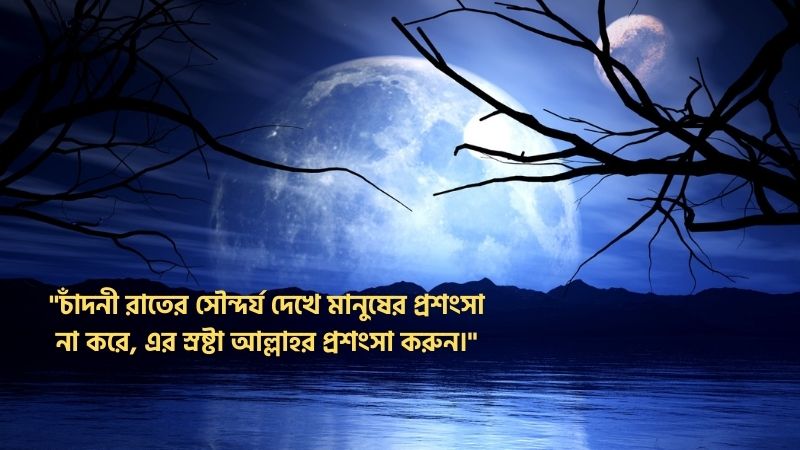 চাঁদনী রাত নিয়ে ইসলামিক স্ট্যাটাস