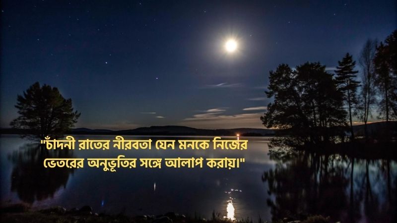 চাঁদনী রাত নিয়ে ক্যাপশন