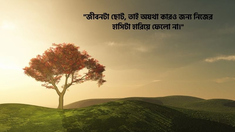 ফেসবুক বাংলা ক্যাপশন