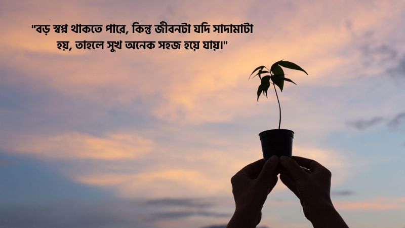 সাদামাটা জীবন নিয়ে ক্যাপশন