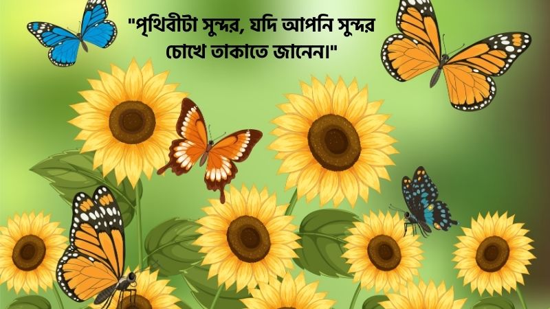 সৌন্দর্য নিয়ে উক্তি